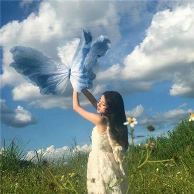 龙公主的冒险